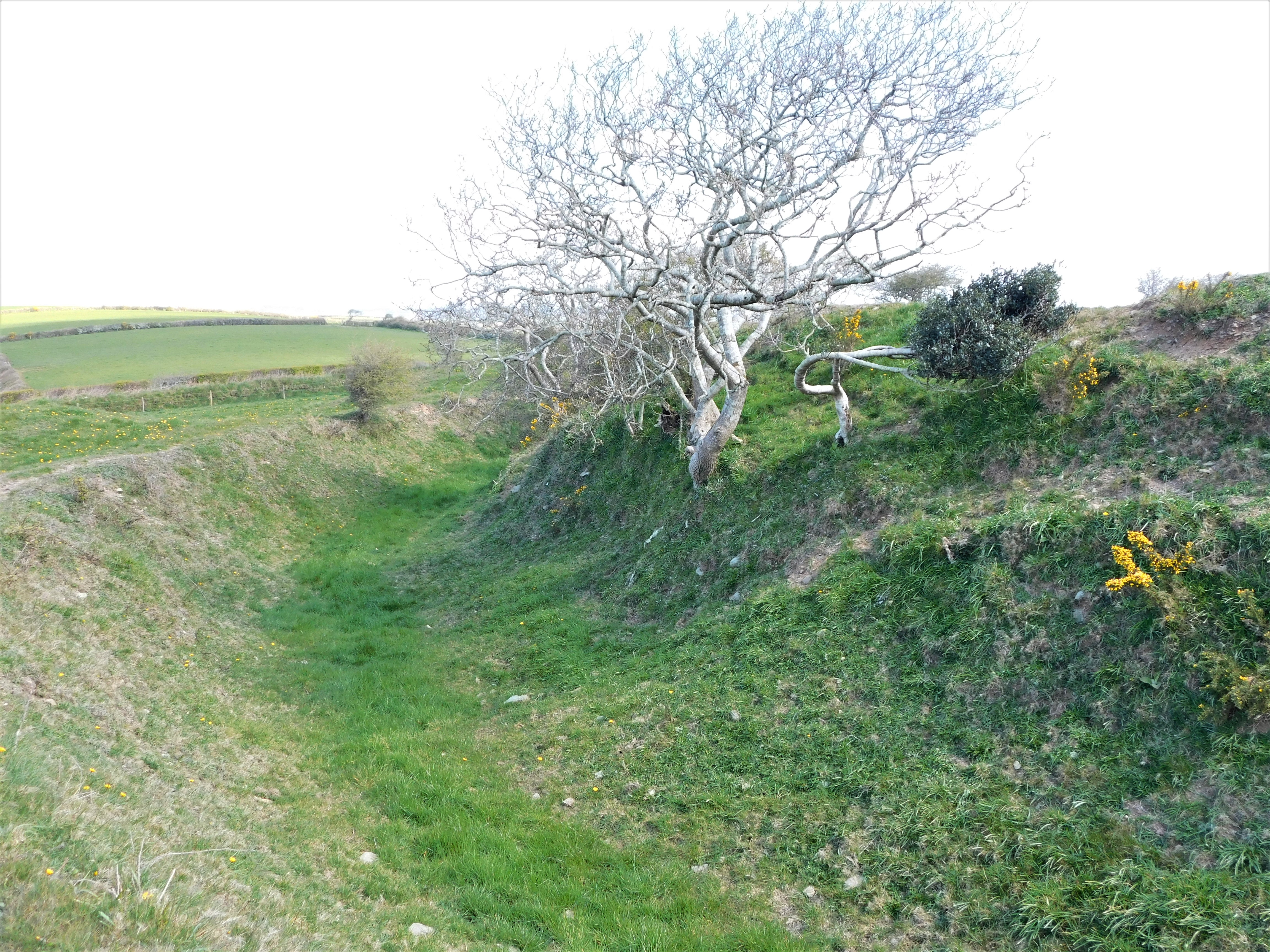 9.2 Castle Dore (3)
