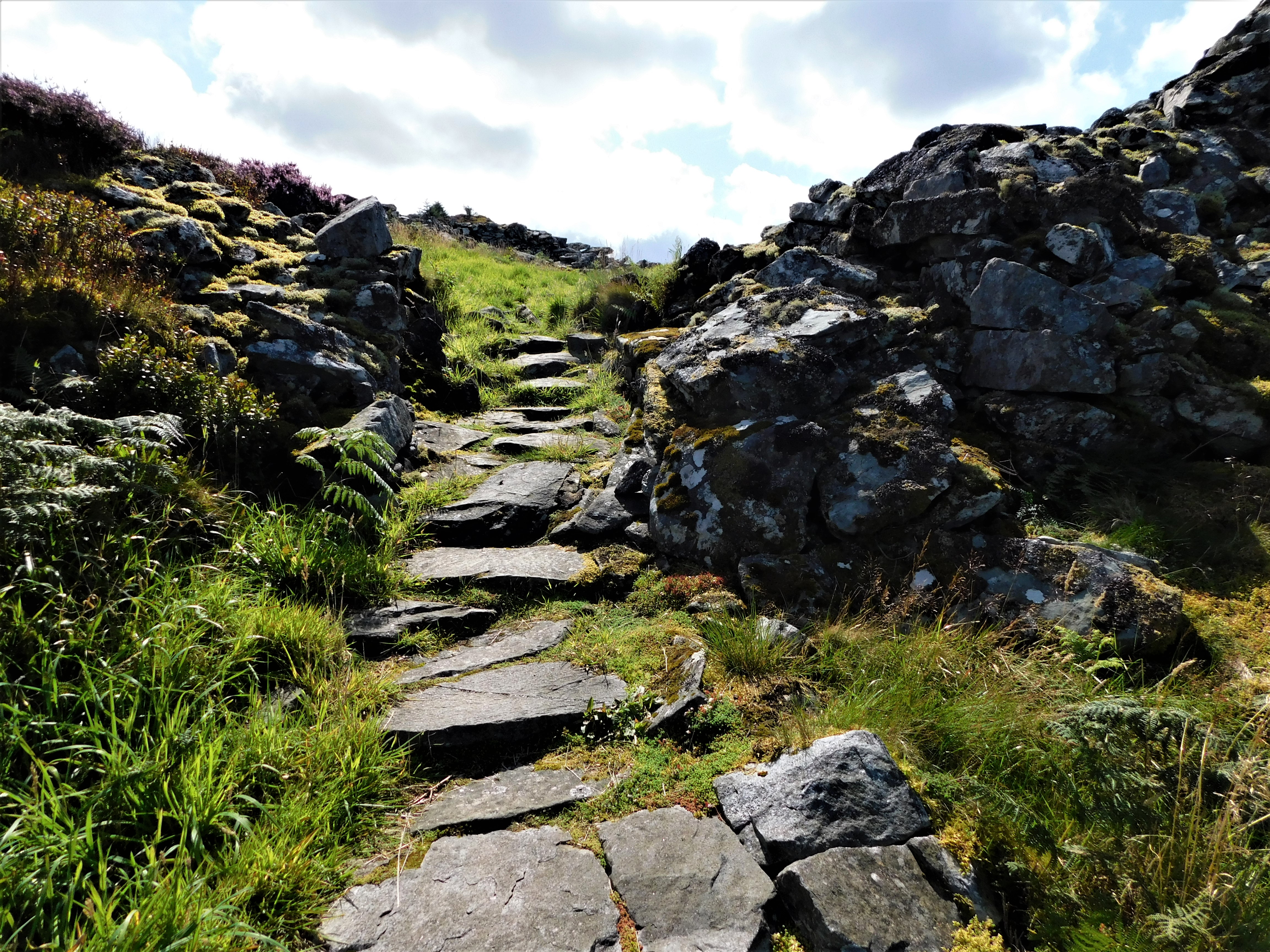 Castle Dounie Dun (20)