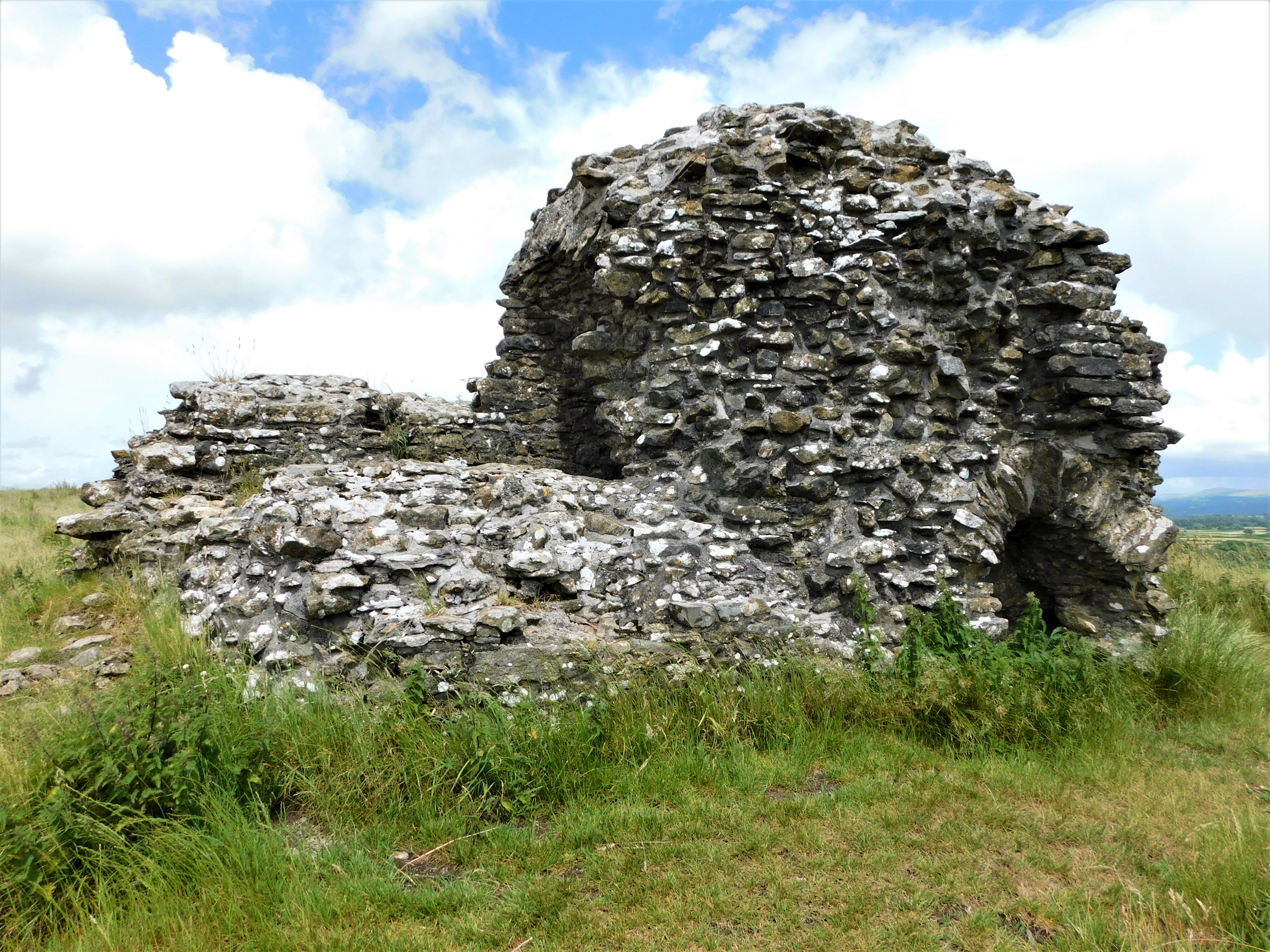 Dryslwyn Castle 2022 (21)