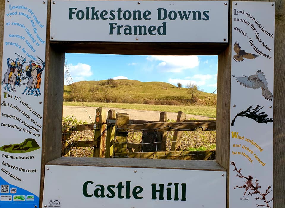 Folkestone Castle Sue