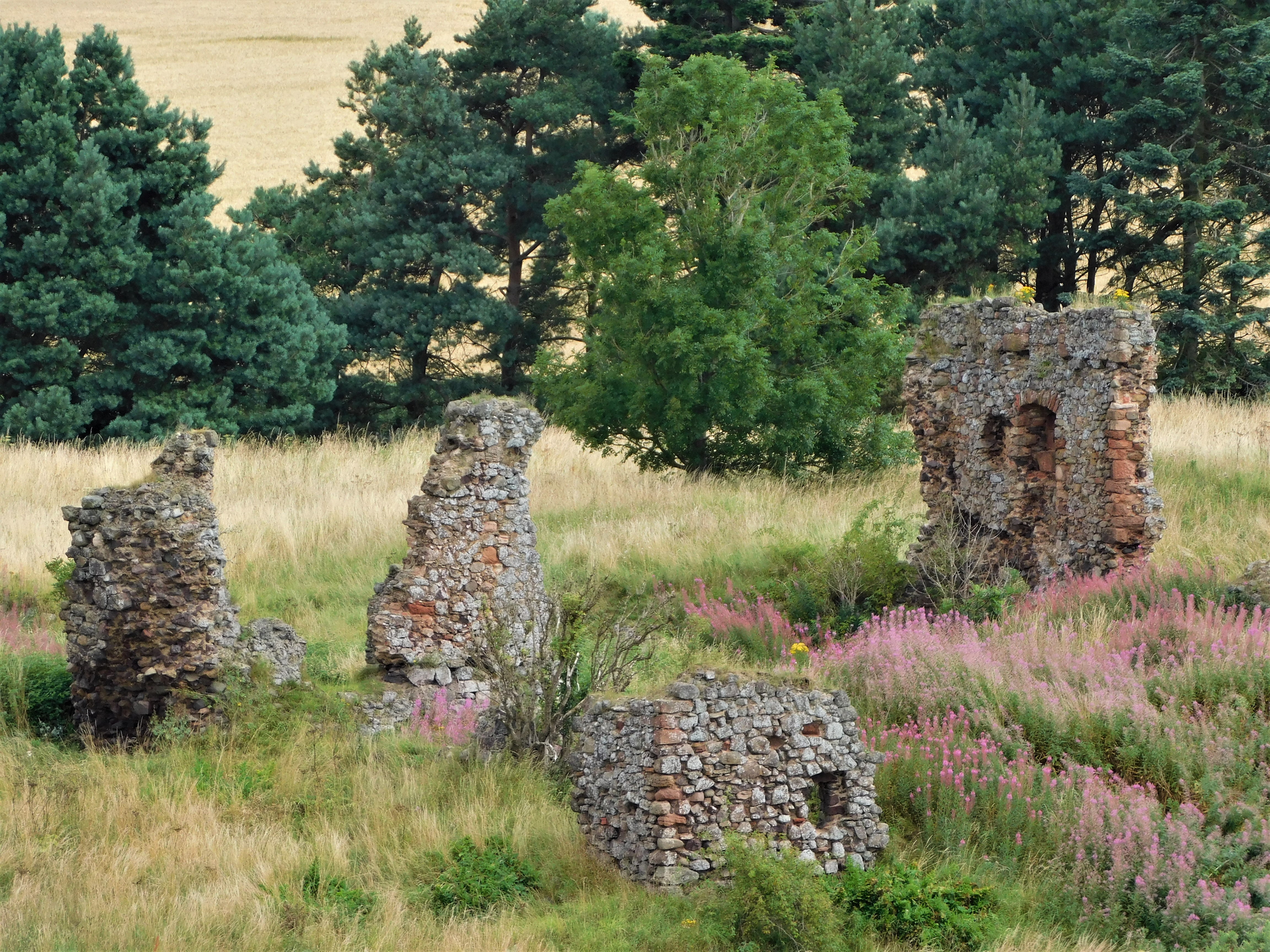 Markle Castle (5)
