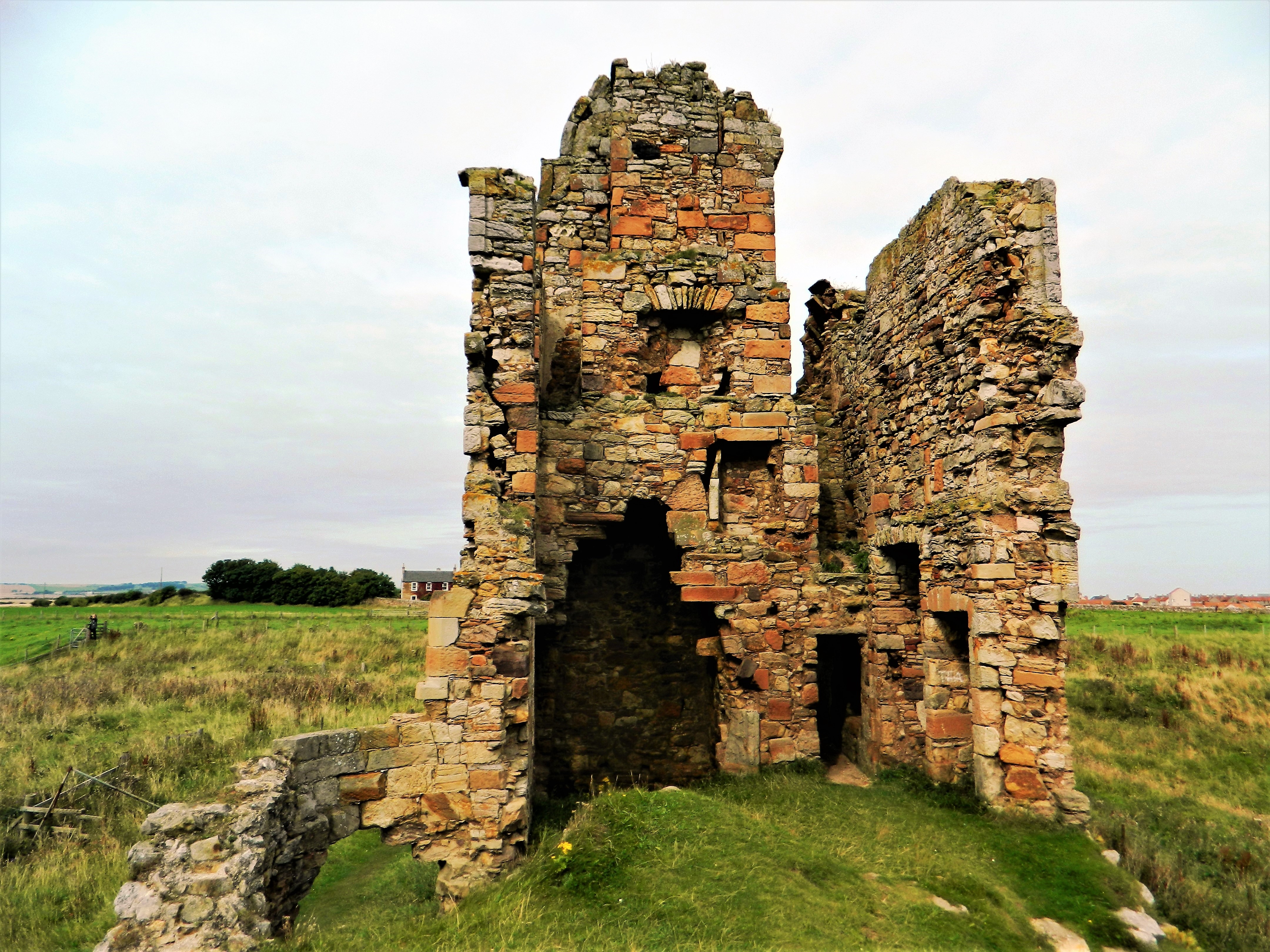 Newark Castle Fife 2017 (5)
