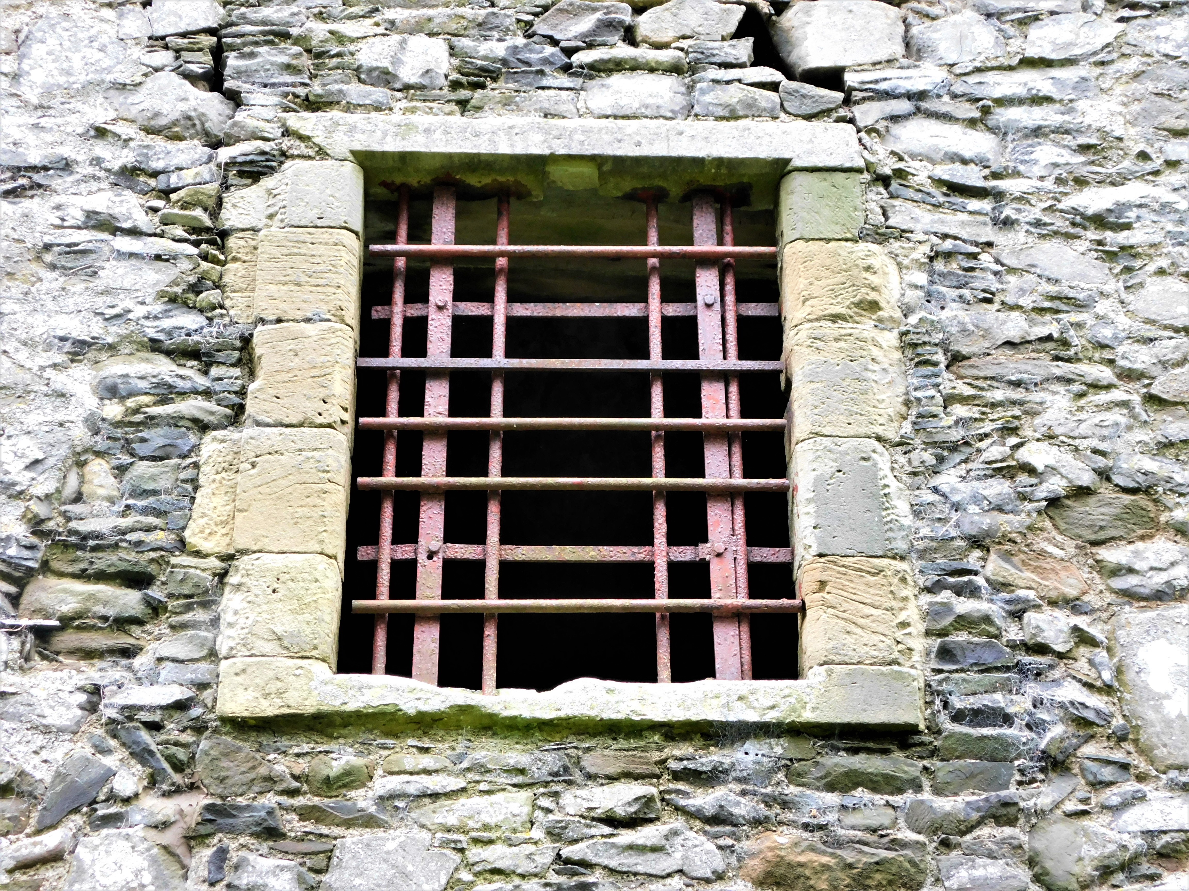 Newark Castle (8)
