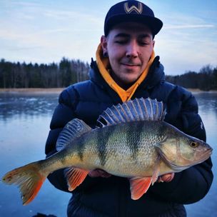 Perch