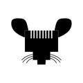 CAT & Mouse Productions