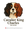 Cavalier King Charles Suisse - Canton de Vaud