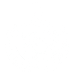 CBSMUN Logo