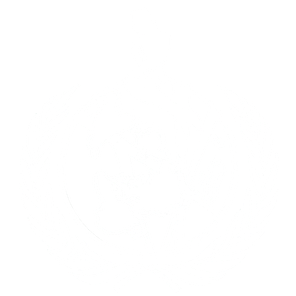 CBSMUN Logo