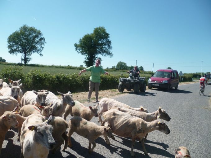 Rencontre inattendue 