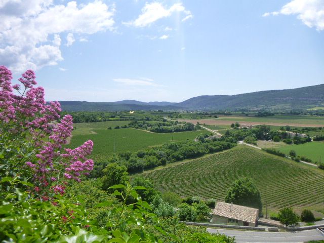 Vue de l’hôtel !! 