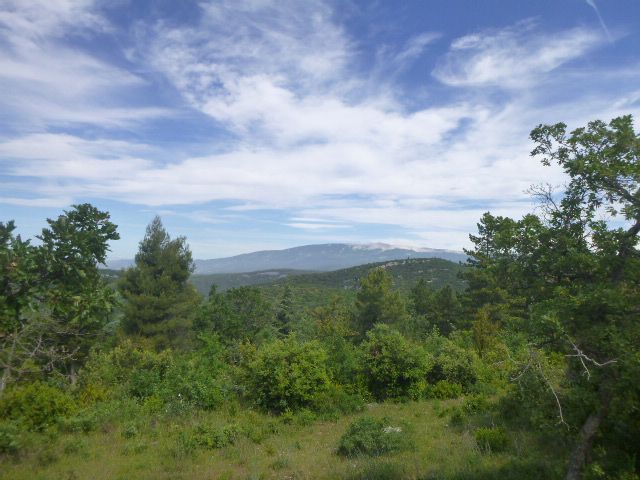 En arrière plan le mont Ventoux vue des gorges côté St Hubert 