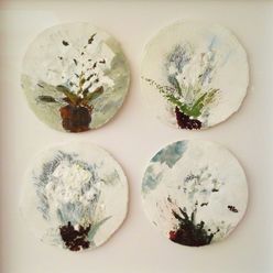 Les orchidées