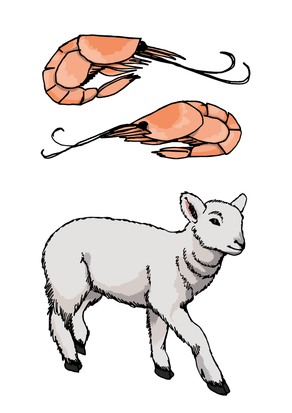 Lamm_räkor