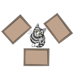 middle