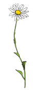 ss4_unit_3_daisy