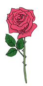 ss4_unit_3_rose