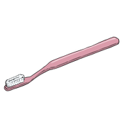 ss4_unit_5_Holiday_3_toothbrush