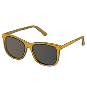 ss4_unit_5_Holiday_8_sunglasses