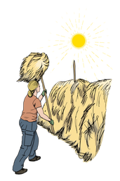 ss4_unit_8_Make-hay