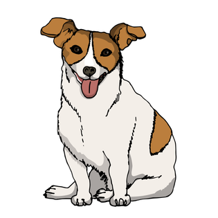 stst3_k06_07_dog