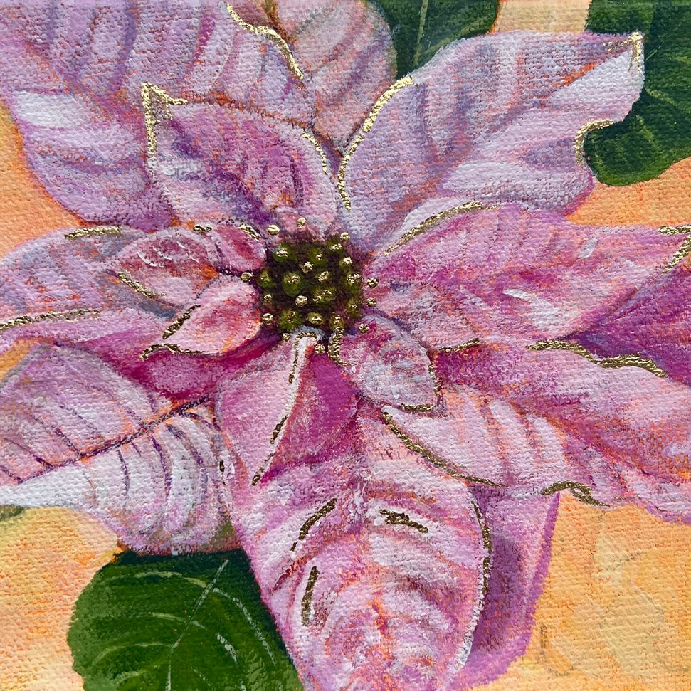 Poinsettia 1