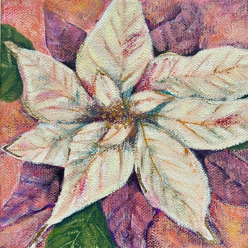 Poinsettia 2