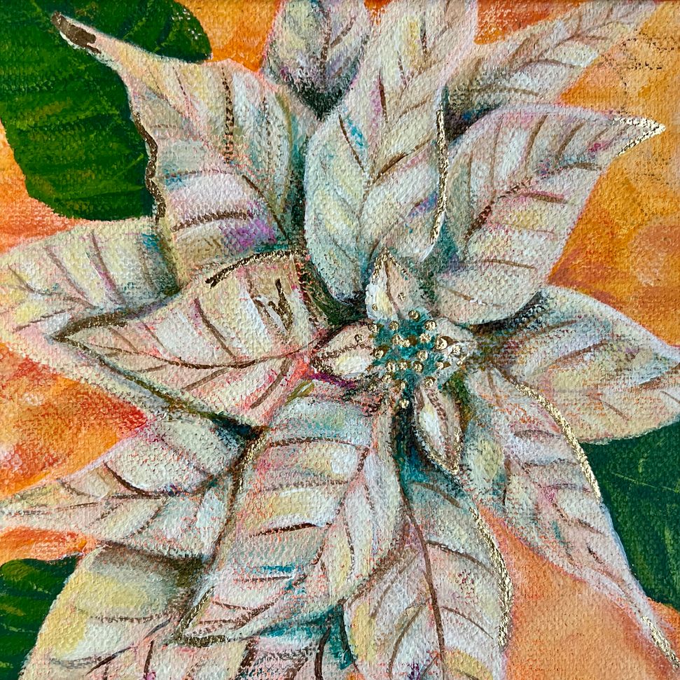 Poinsettia 5