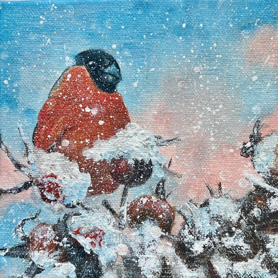Vintersångare, Domherre i snö
