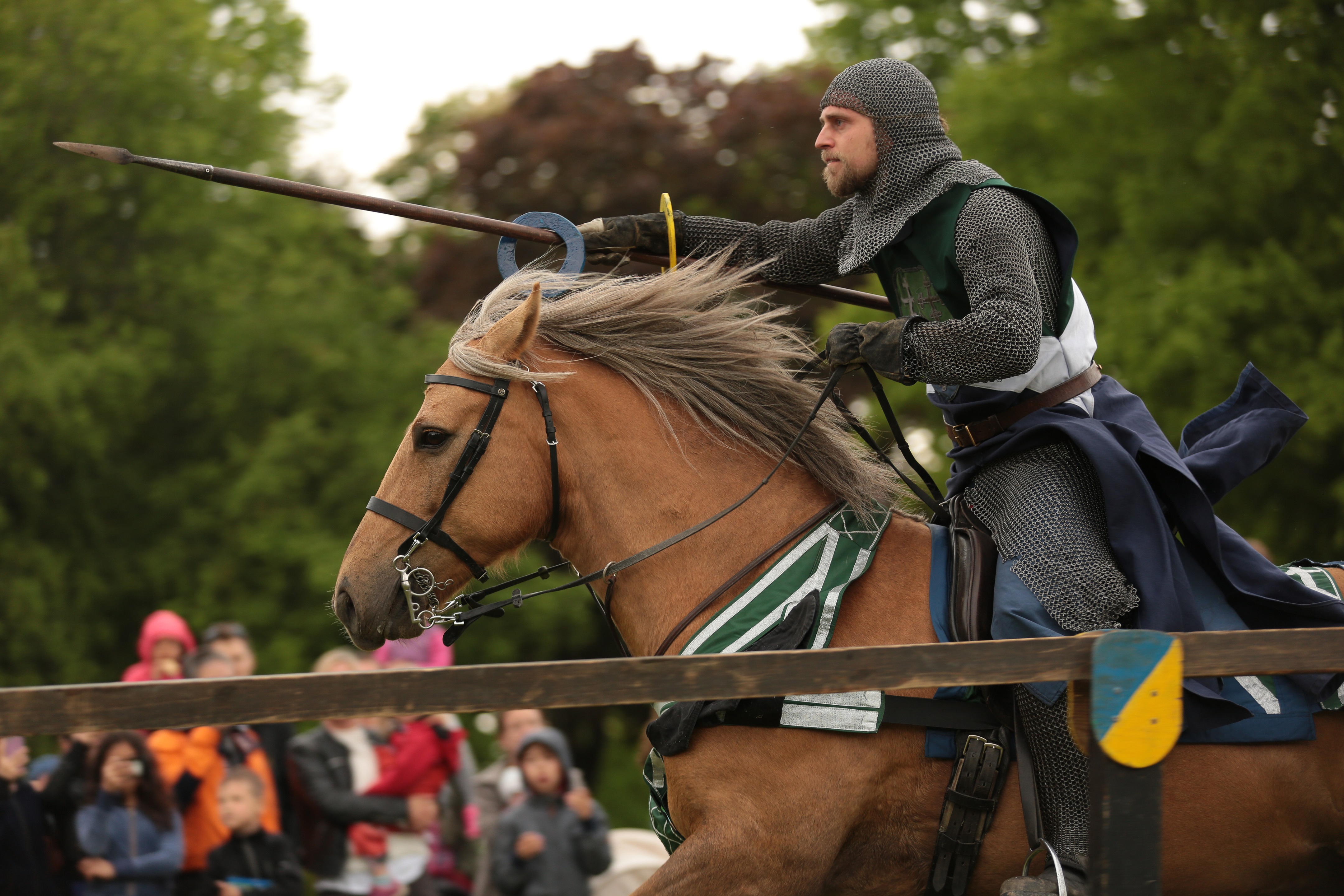 6_järnek_ÅsaCidh