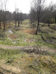   Verdun, slagveld 