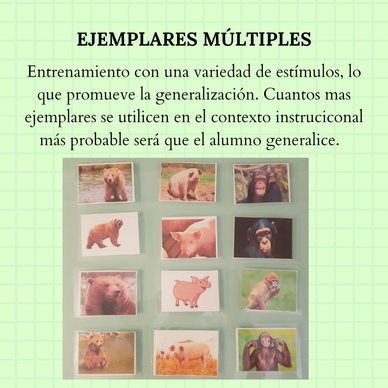 Ejemplares múltiples