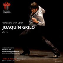 WorkshopJoaquin2012