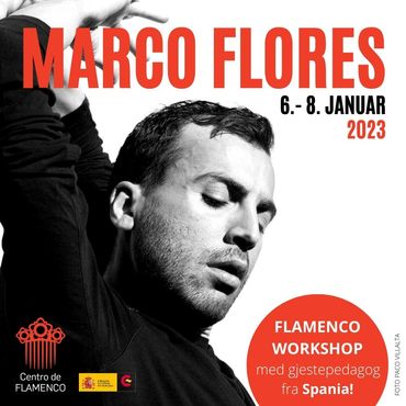 WorkshopMarco2023Logo