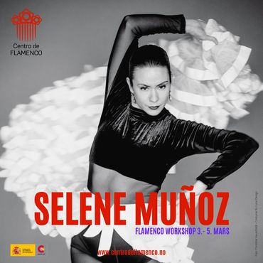WorkshopSelene2023Logo