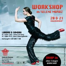 WorkshopSelene21LogoSA