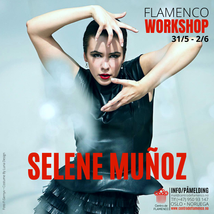 WorkshopSeleneMai22___serialized1