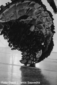 Om Centro de Flamenco La Pantera