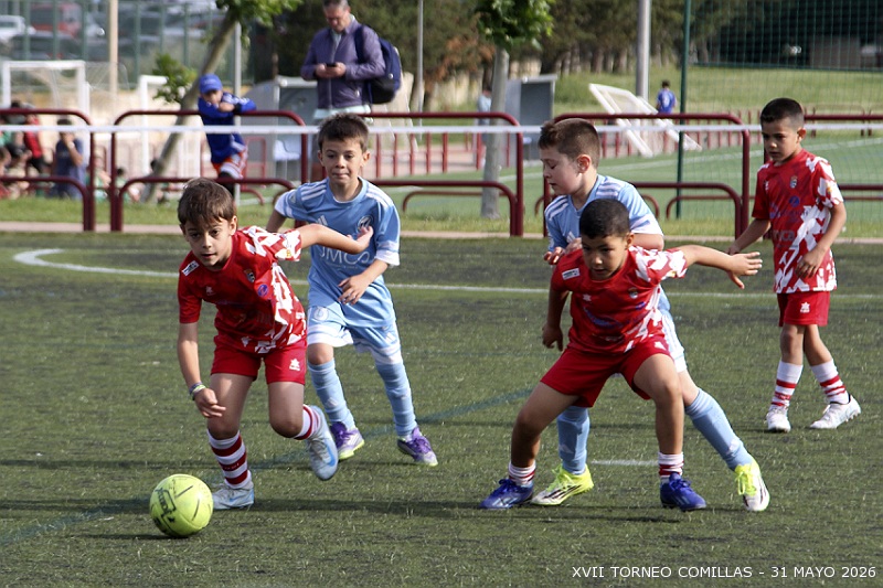 SEGUNDIA (44)