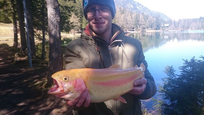 Alexis Burnier pêcheur genevois et sa jolie truite japonaise de Fukushima. Ouverture 1 er mai 2016
Bravo !!