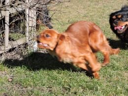 1605