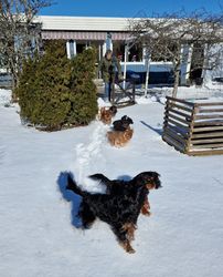 2303sno1