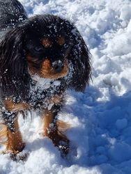 2303sno13e