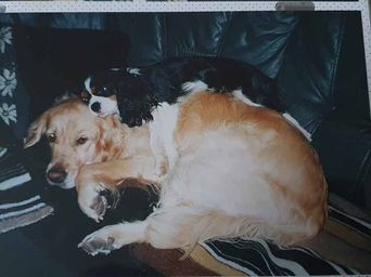 Ella & Nikita 2002