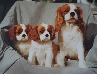 Peggy 1998