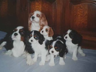 Peggy & Jerry 2000