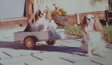 Perro & Cindy 1989