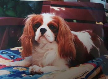 Peggy