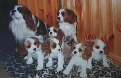 Fatima & Peppsi 1999