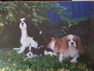 Jerry & Sazzi 2002