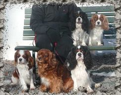 marsgrup2009